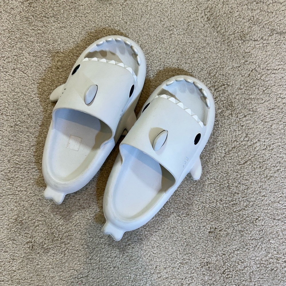 Grey shark slides